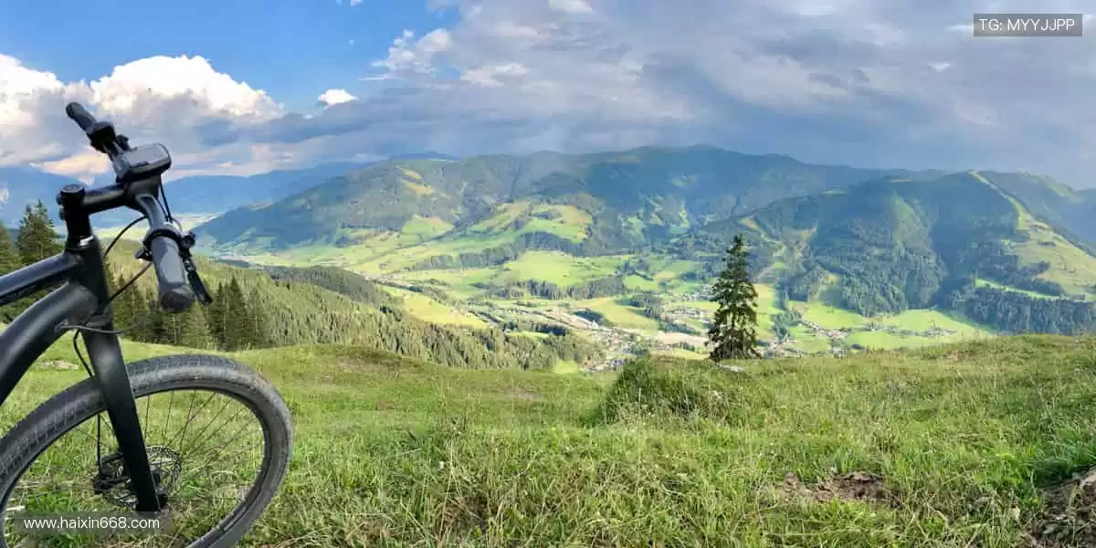 🏀激情赛场,见证冠军诞生时刻!
